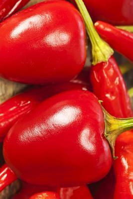 Download Cascabel Chili Peppers Journal: 150 Page Lined Notebook/Diary -  | ePub