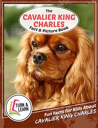 Read Online The Cavalier King Charles Fact and Picture Book: Fun Facts for Kids About Cavalier King Charles (Turn and Learn) - Gina McIntyre file in PDF