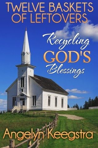 Read Online Twelve Baskets Of Leftovers: Recycling God's Blessings - Angelyn J. Keegstra | ePub