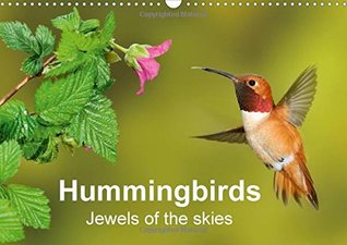 Read Hummingbirds Jewels of the Skies 2017: Fantastic Photographs of Hummingbirds in Flight (Calvendo Animals) - BIA - birdimagency | ePub
