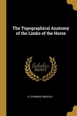 Read Online The Topographical Anatomy of the Limbs of the Horse - O Charnock (Orlando Charnock) Bradley | ePub
